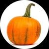 therustypumpkin
